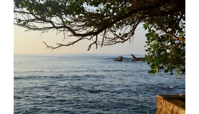 Hotel Nid'aigle poza 3